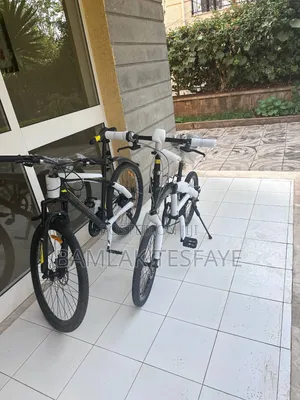 Mountain Bicycle