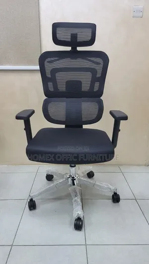 Managerial Chair Ergonomics Chair