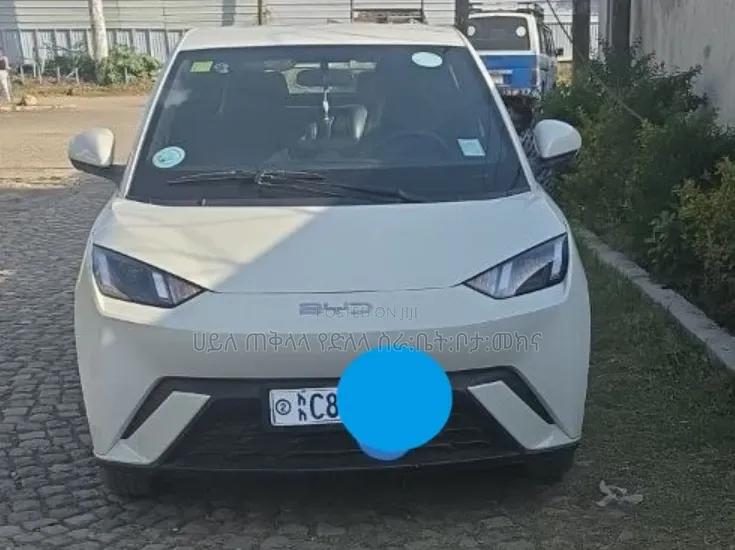 BYD Seagull 2025 White