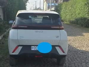 BYD Seagull 2025 White