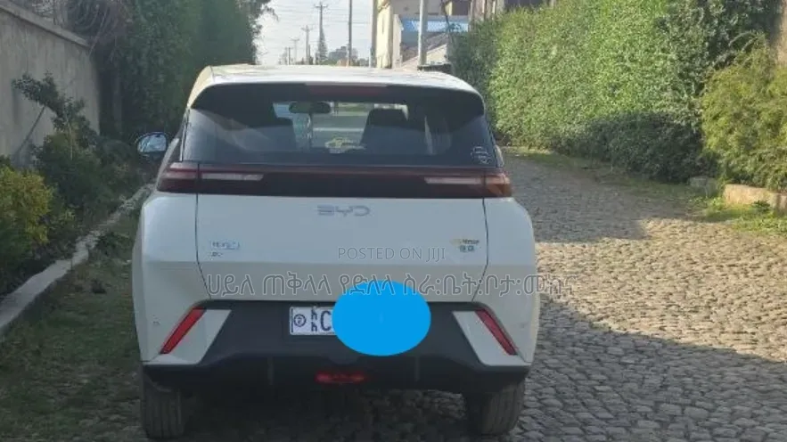 BYD Seagull 2025 White