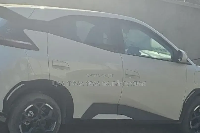 BYD Seagull 2025 White