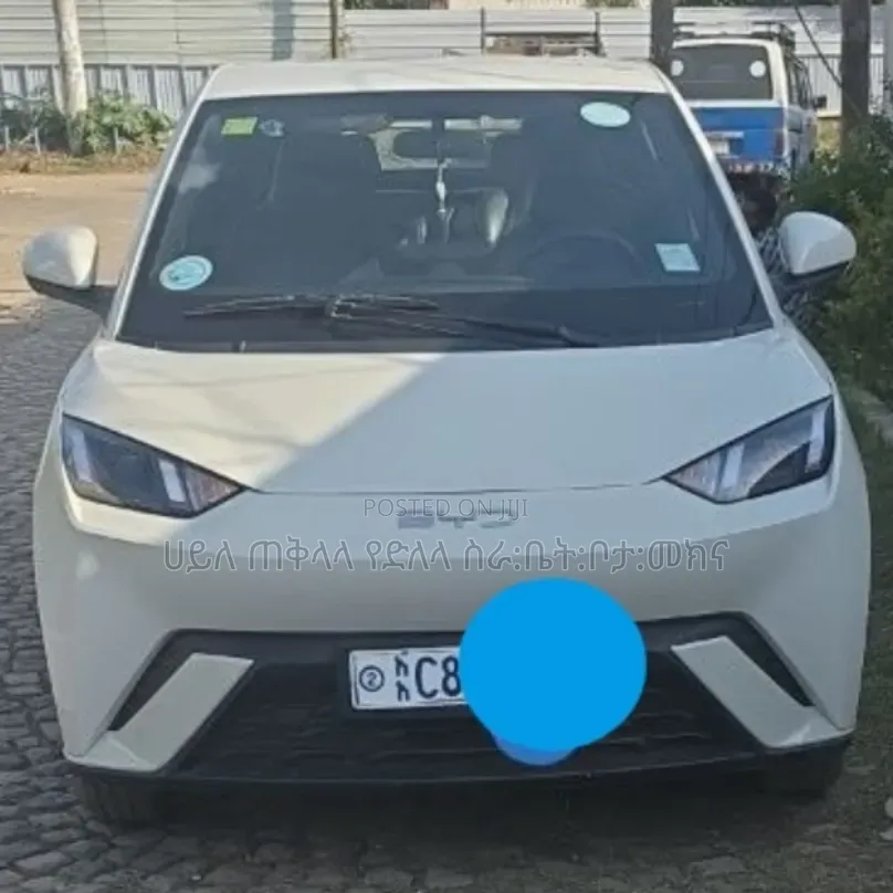 BYD Seagull 2025 White