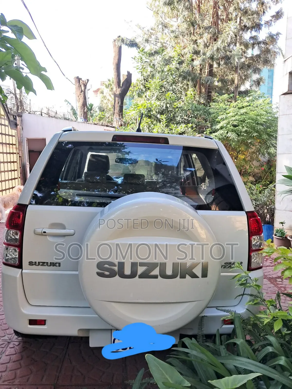 Toyota Land Cruiser 2010 White