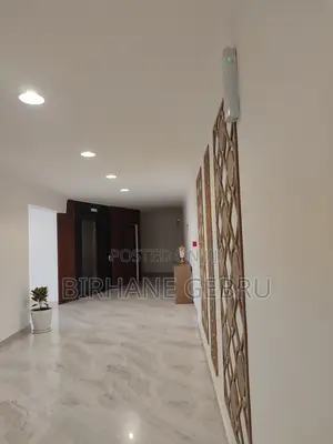 Furnished 3bdrm Apartment in Luxury Fernished, Bole for rent