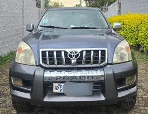 Toyota Land Cruiser 2006 Gray