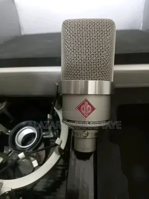 Neumann TLM 102 Condenser Microphone