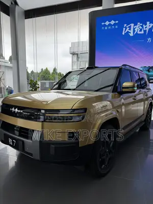 New BYD Leopard 7 2025 Gold