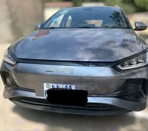 Rental Car _ Byd E2 (Ev)
