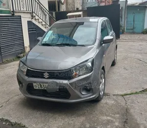 Rental Car _ Suzuki Celerio