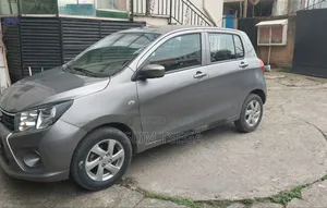 Rental Car _ Suzuki Celerio