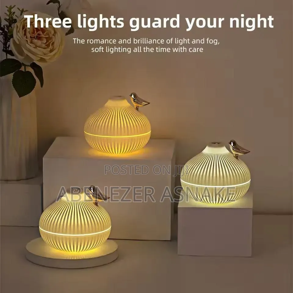 Onion Shape Humidifier