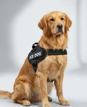  Premium Tactical No-Pull Dog Harness (Ice Dog) 