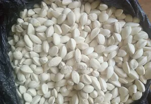 የዘር ፍሬ Moringa Ena Lelochem Alun