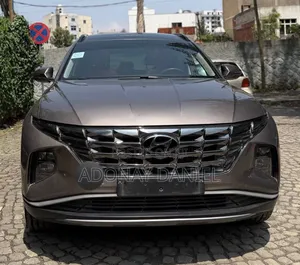 Hyundai Tucson 2022 Brown
