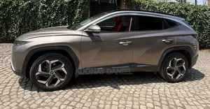 Hyundai Tucson 2022 Brown