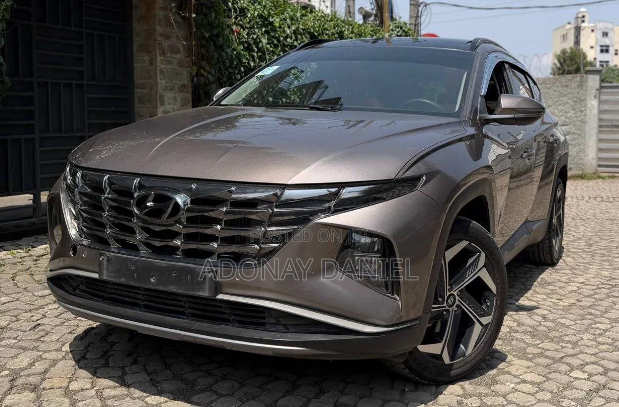 Hyundai Tucson 2022 Brown