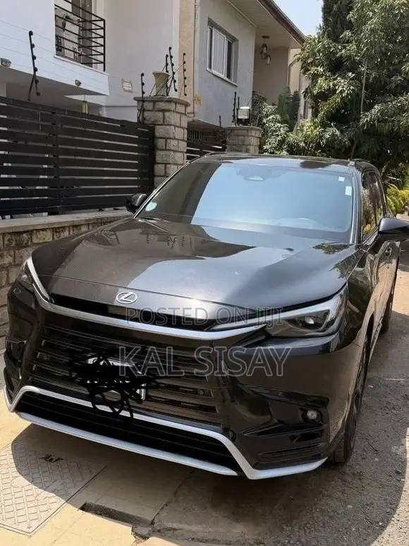 Lexus TX TX 500h AWD 2024 Black