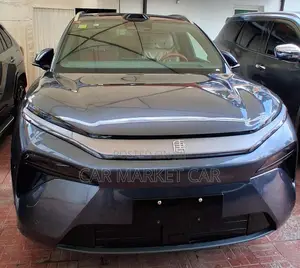 New BYD Tang EV 2025 Gray