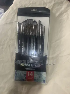 Artist Brush Set – 14 Pieces (Premium Quality)