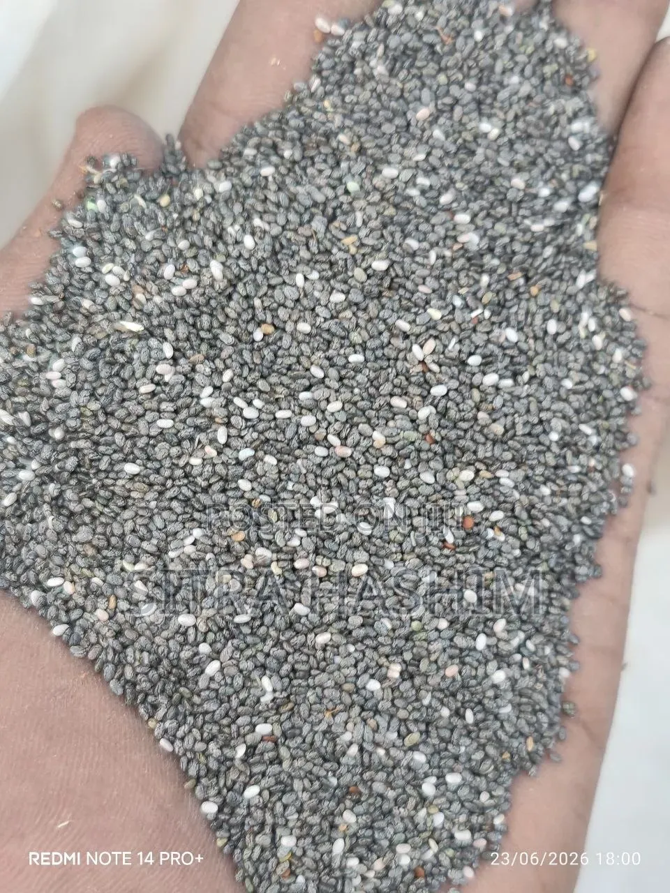 "10 ኩንታል ንጹህ የቺያ ሲድ ምርት በጅምላ"Chia Seeds Wholesale 10 Kunstal"
