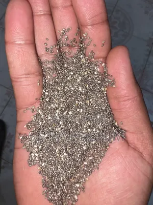 "10 ኩንታል ንጹህ የቺያ ሲድ ምርት በጅምላ"Chia Seeds Wholesale 10 Kunstal"