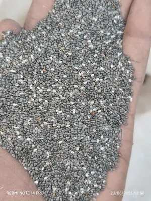 "10 ኩንታል ንጹህ የቺያ ሲድ ምርት በጅምላ"Chia Seeds Wholesale 10 Kunstal"