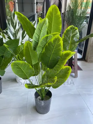 Artificial Plants