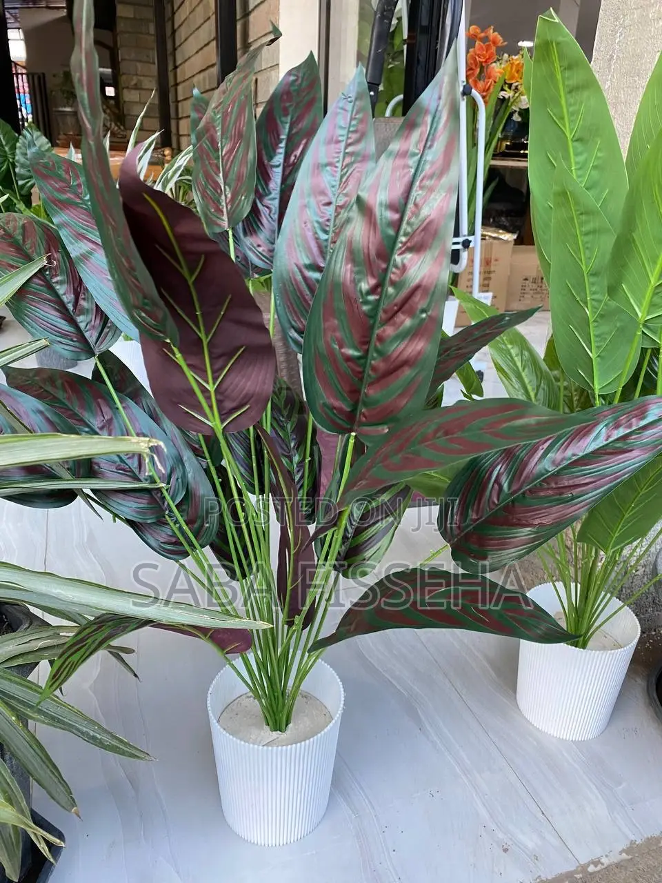Artificial Plants