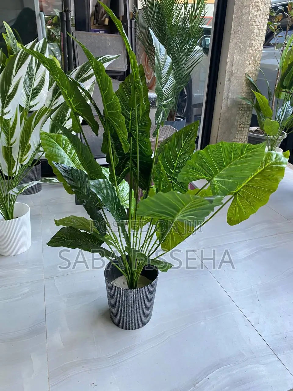 Artificial Plants