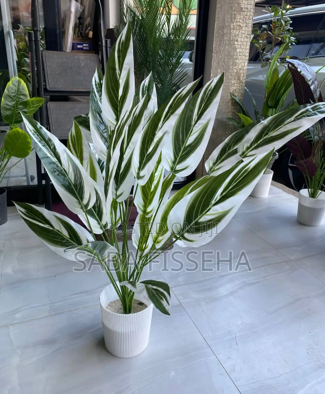 Artificial Plants