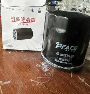 Byd Oil Filter and Car Key Holder