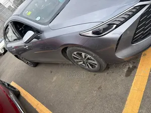 BYD Qin Plus DM-i 2025 Gray