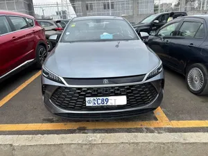 BYD Qin Plus DM-i 2025 Gray