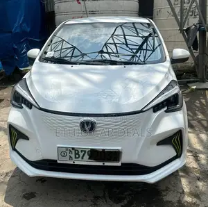 Changan BenBen 2024 White