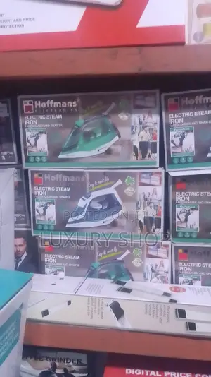 Hoffman Steam Iron Germany