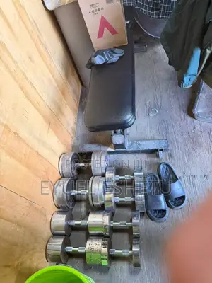 Adjustable Weight Bench and Dumbbells