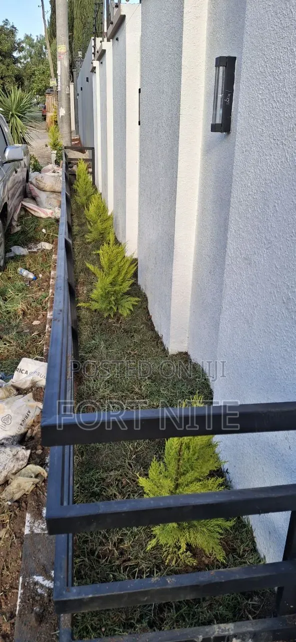 Tg Flora Gardening/Landscaping Indoor Plants(Soil,Grass,Pots Plant)