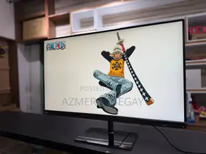 Computer Monitor