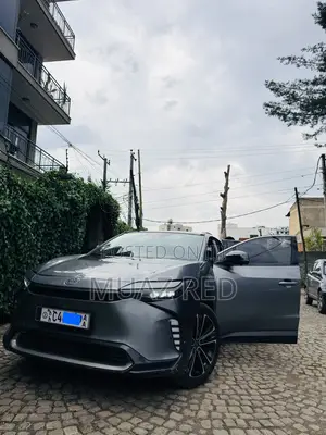 Toyota bZ4X 71.4 kWh AWD 2022 Gray