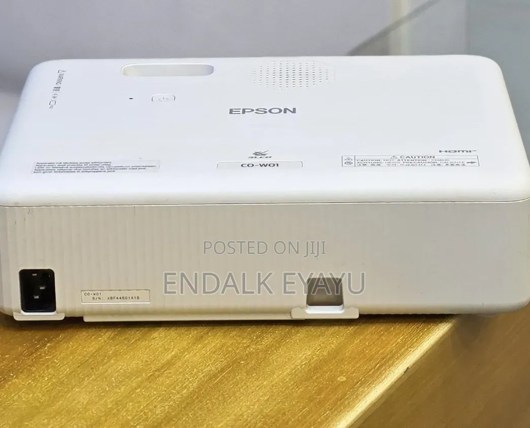 Epson Projector