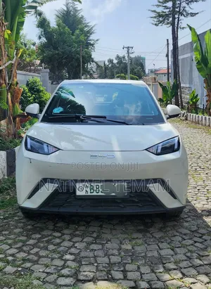 BYD Seagull 2025 White