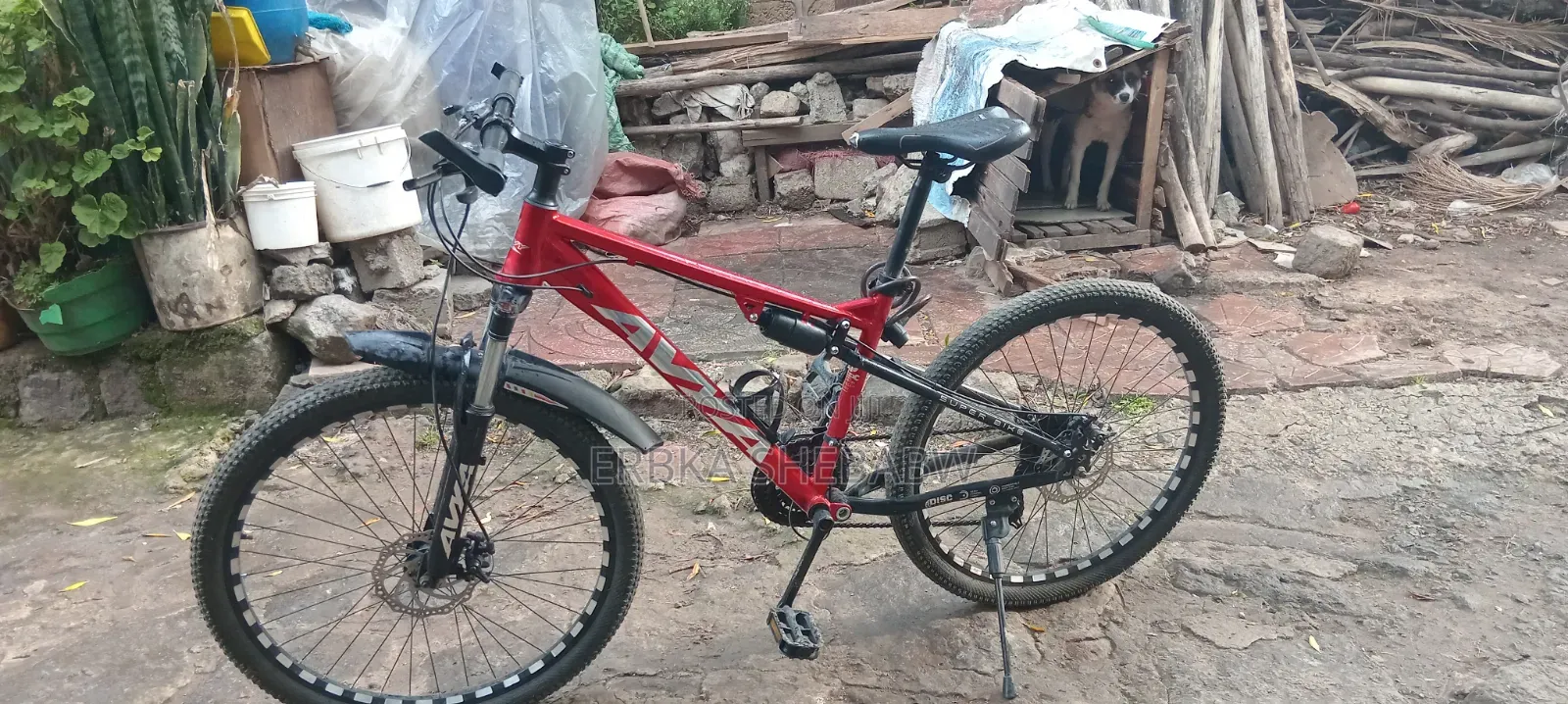 Bbicycle Used