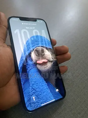 New Apple iPhone 12 Pro Max 256 GB Blue