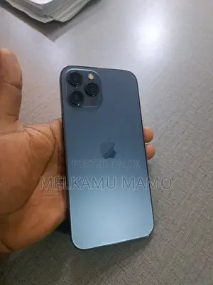 New Apple iPhone 12 Pro Max 256 GB Blue