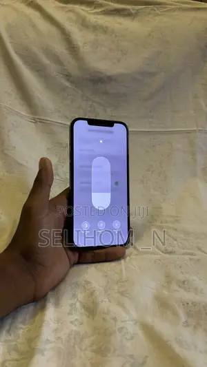 Apple iPhone 12 Pro Max 128 GB Black