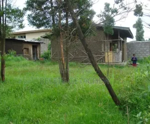 Bole Bulbula, Construction Land for Sale 18,000sqm
