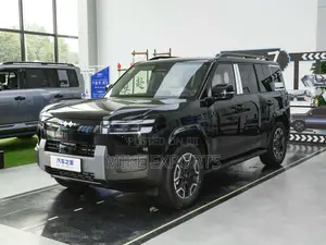 New BYD Leopard 7 2025 Black