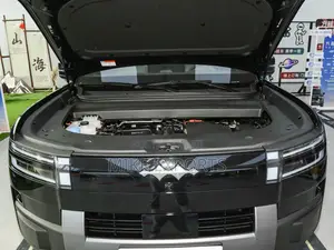 New BYD Leopard 7 2025 Black