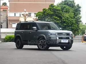 New BYD Leopard 7 2025 Gray